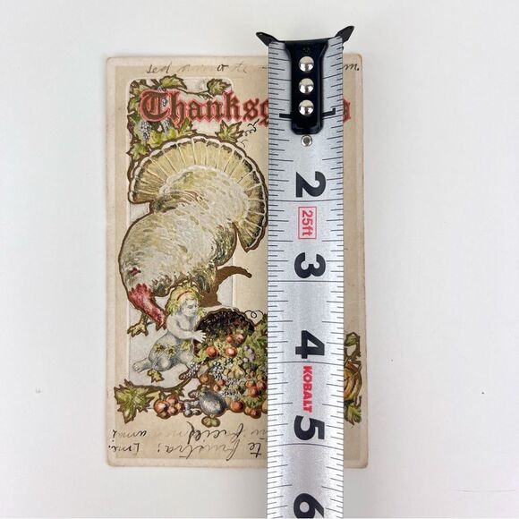 Vintage 1900s THANKSGIVING Postcard White Turkey / Baby with Horn O' Plenty - Picture 4 of 4